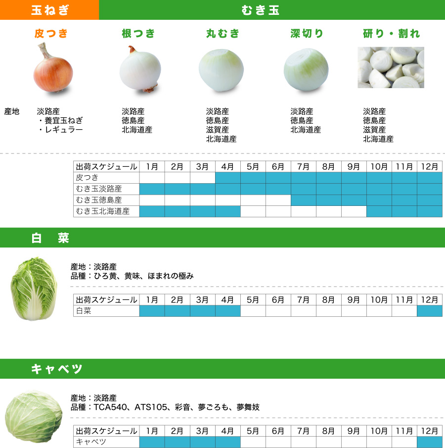 玉ねぎ、白菜、キャベツの栽培を行っています
